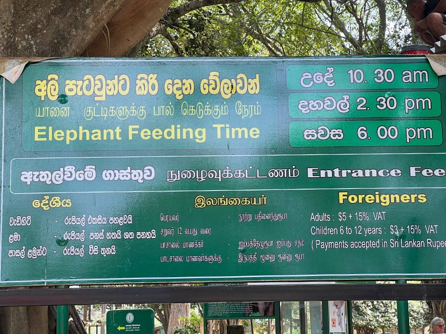 Udawalawe Elephant Transit Home Time