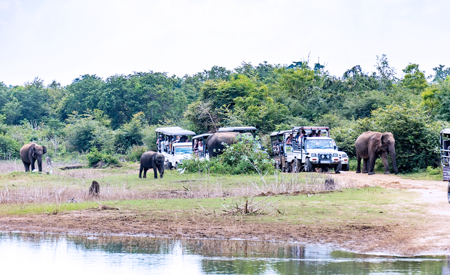 Udawalawa National park Safari 4x4 Jeep