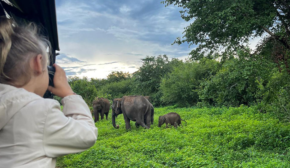 Shared Safaris for Smart Travelers